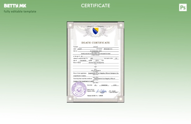 Модерен стил на Босна и Херцеговина, шаблон за ПСД од Америка за смрт од витално